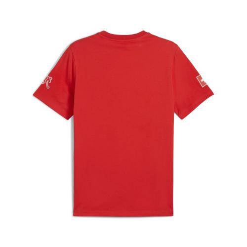 Preview: Schweiz Fan Shirt - 2025